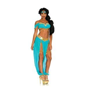 Princess Jasmine Adult Costume